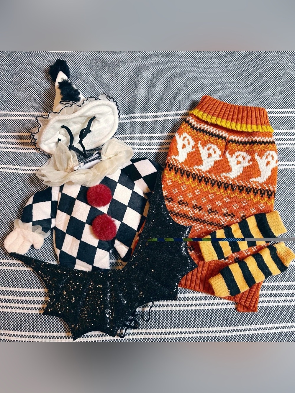 Bundle of Halloween pet clothing and accessories sweater vintage clown bat wings